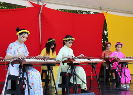 Vietnamese arts and cultural activities